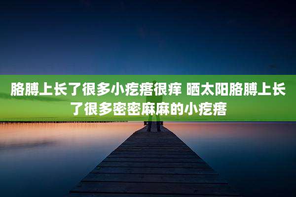 胳膊上长了很多小疙瘩很痒 晒太阳胳膊上长了很多密密麻麻的小疙瘩