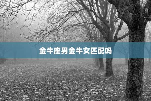 金牛座男金牛女匹配吗