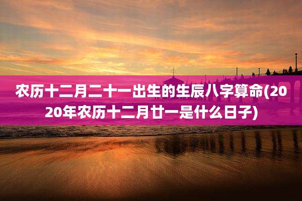 农历十二月二十一出生的生辰八字算命(2020年农历十二月廿一是什么日子)
