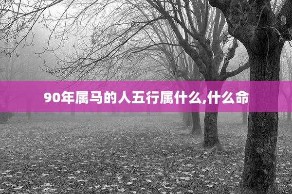 90年属马的人五行属什么,什么命