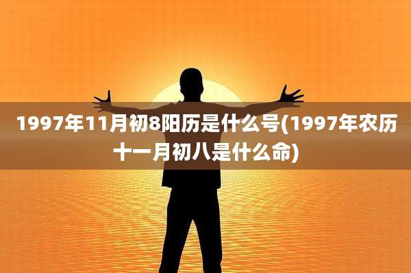 1997年11月初8阳历是什么号(1997年农历十一月初八是什么命)