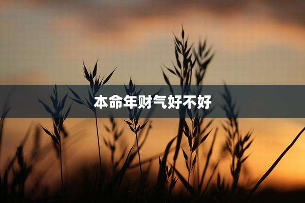 本命年财气好不好