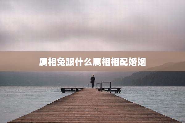 属相兔跟什么属相相配婚姻