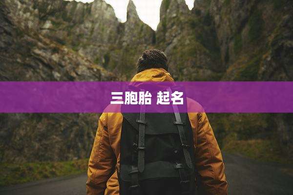 三胞胎 起名