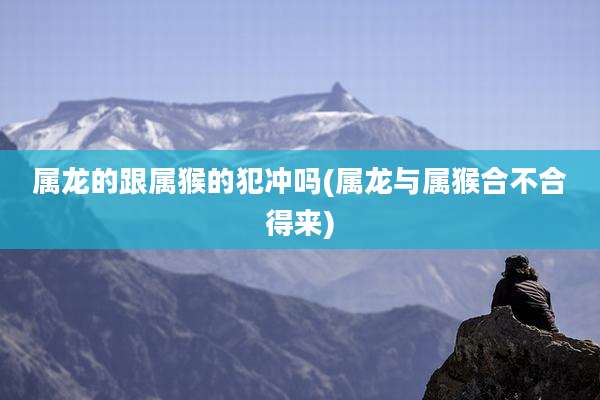 属龙的跟属猴的犯冲吗(属龙与属猴合不合得来)