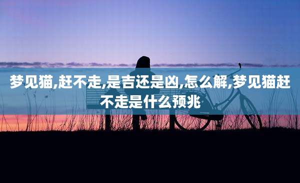 梦见猫,赶不走,是吉还是凶,怎么解,梦见猫赶不走是什么预兆