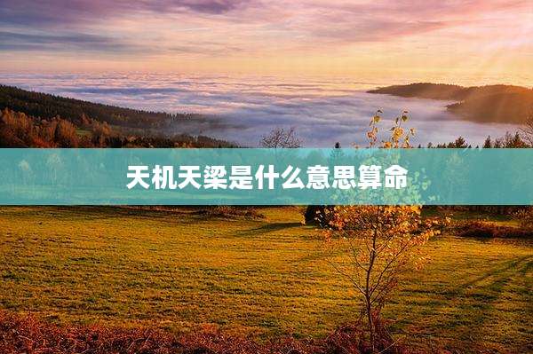 天机天梁是什么意思算命