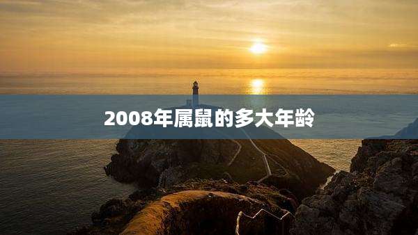 2008年属鼠的多大年龄