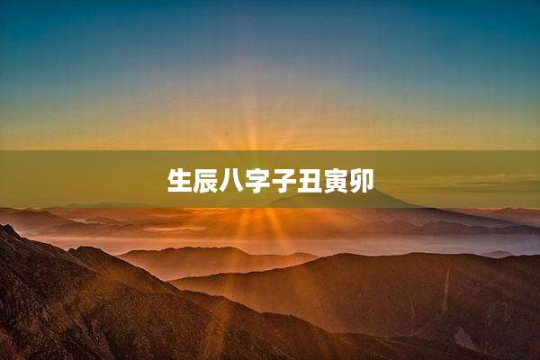 生辰八字子丑寅卯