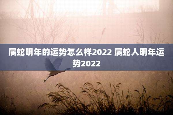 属蛇明年的运势怎么样2022 属蛇人明年运势2022