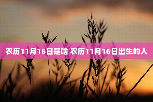 农历11月16日是啥 农历11月16日出生的人