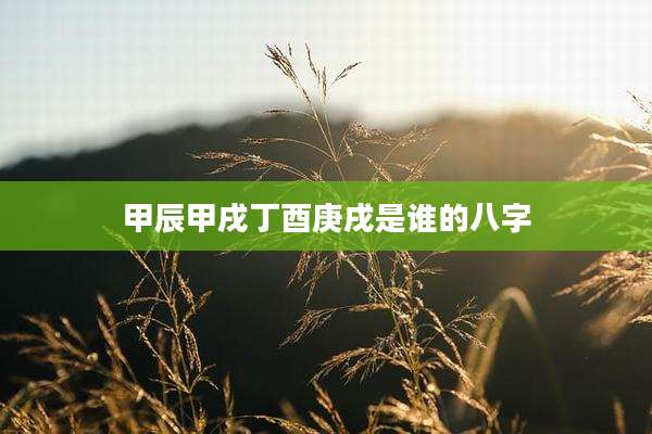 甲辰甲戌丁酉庚戌是谁的八字