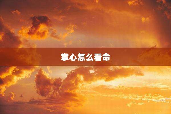 掌心怎么看命
