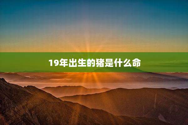 19年出生的猪是什么命