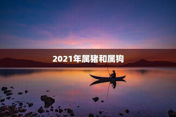2021年属猪和属狗