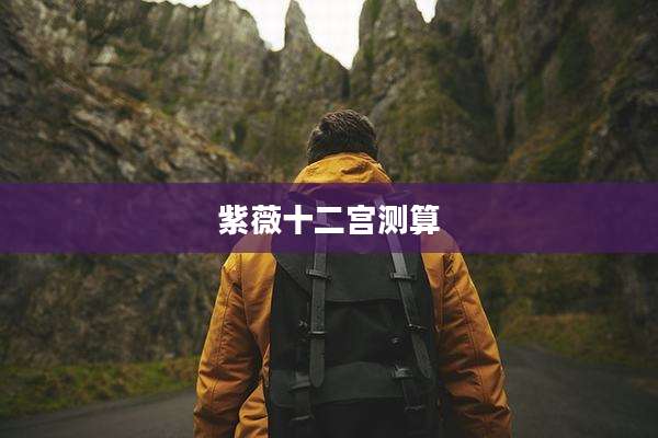 紫薇十二宫测算