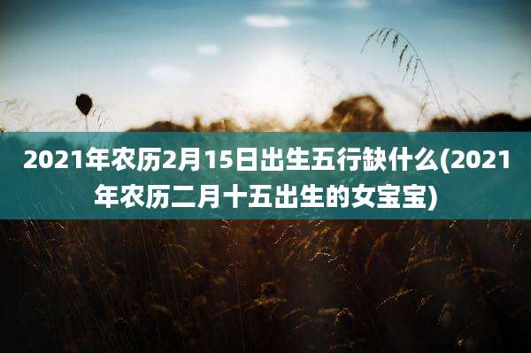 2021年农历2月15日出生五行缺什么(2021年农历二月十五出生的女宝宝)