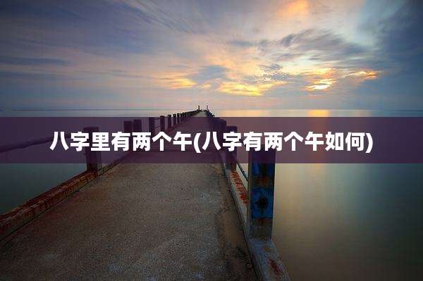 八字里有两个午(八字有两个午如何)