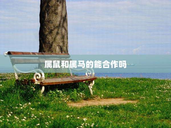 属鼠和属马的能合作吗