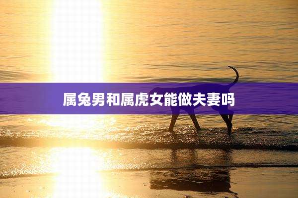 属兔男和属虎女能做夫妻吗