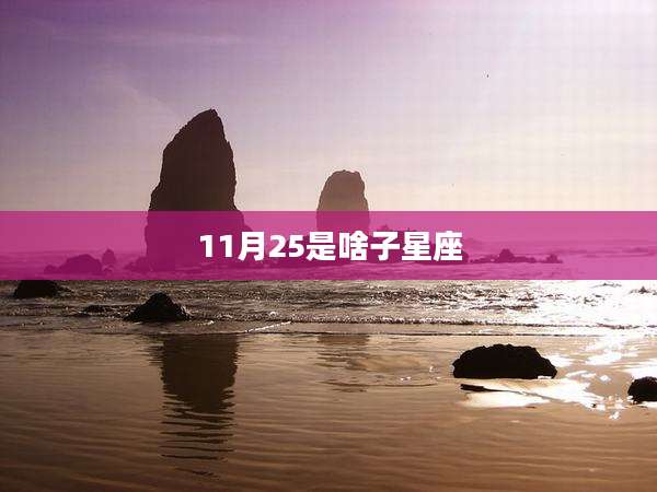 11月25是啥子星座