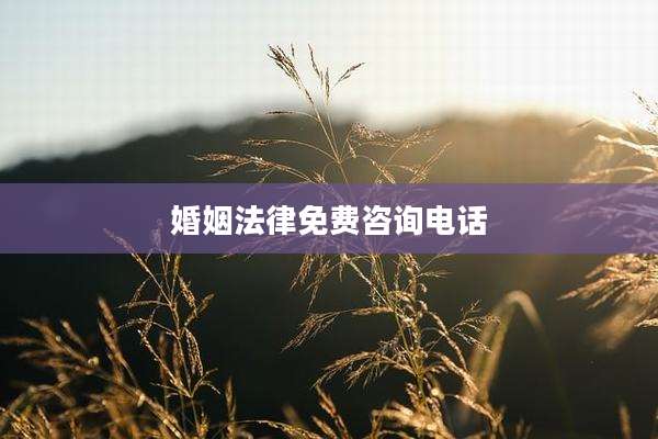 婚姻法律免费咨询电话