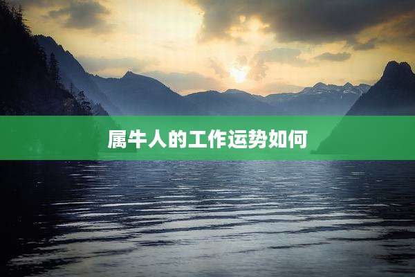 属牛人的工作运势如何