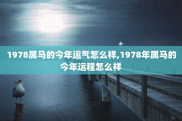 1978属马的今年运气怎么样,1978年属马的今年运程怎么样