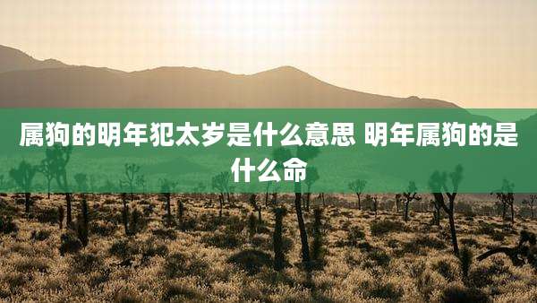 属狗的明年犯太岁是什么意思 明年属狗的是什么命