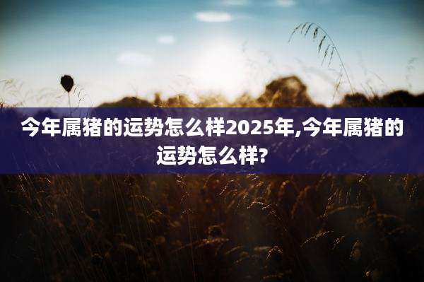 今年属猪的运势怎么样2025年,今年属猪的运势怎么样?