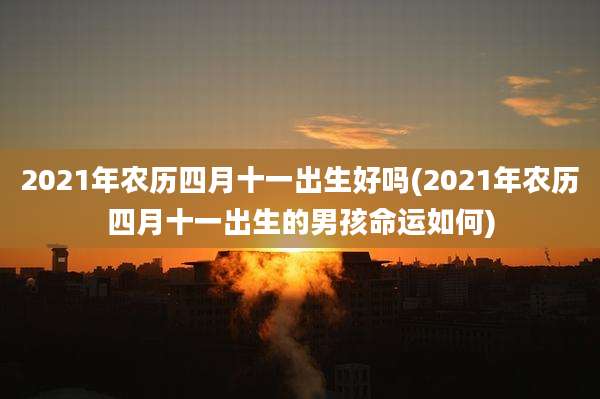 2021年农历四月十一出生好吗(2021年农历四月十一出生的男孩命运如何)