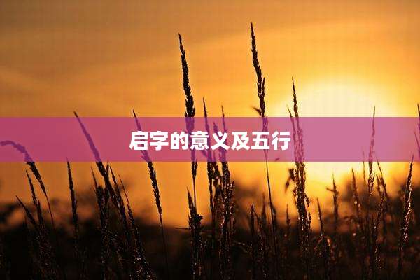 启字的意义及五行