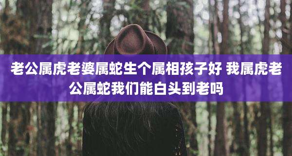 老公属虎老婆属蛇生个属相孩子好 我属虎老公属蛇我们能白头到老吗