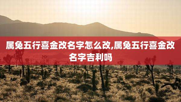 属兔五行喜金改名字怎么改,属兔五行喜金改名字吉利吗