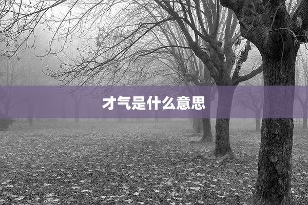 才气是什么意思