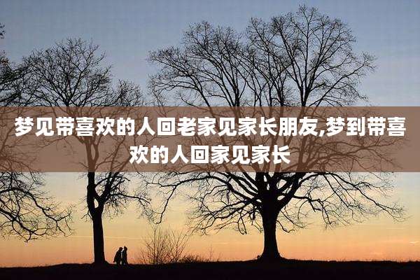 梦见带喜欢的人回老家见家长朋友,梦到带喜欢的人回家见家长