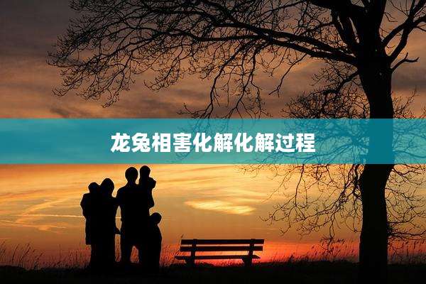 龙兔相害化解化解过程