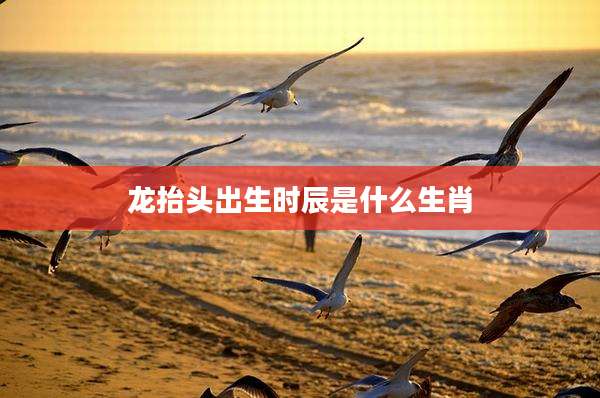 龙抬头出生时辰是什么生肖