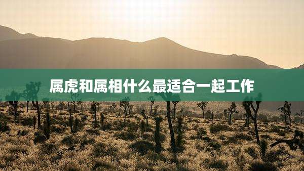 属虎和属相什么最适合一起工作