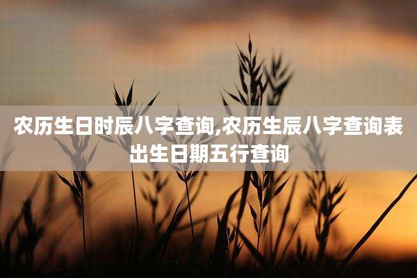 农历生日时辰八字查询,农历生辰八字查询表出生日期五行查询