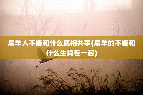 属羊人不能和什么属相共事(属羊的不能和什么生肖在一起)
