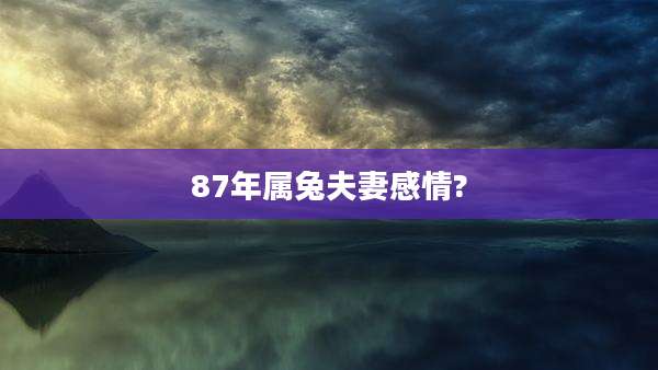87年属兔夫妻感情?