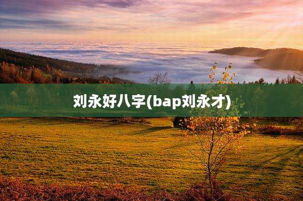 刘永好八字(bap刘永才)