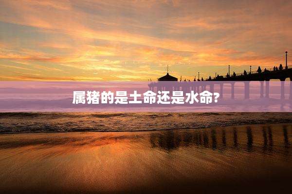 属猪的是土命还是水命?