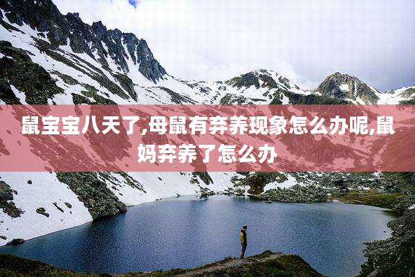 鼠宝宝八天了,母鼠有弃养现象怎么办呢,鼠妈弃养了怎么办