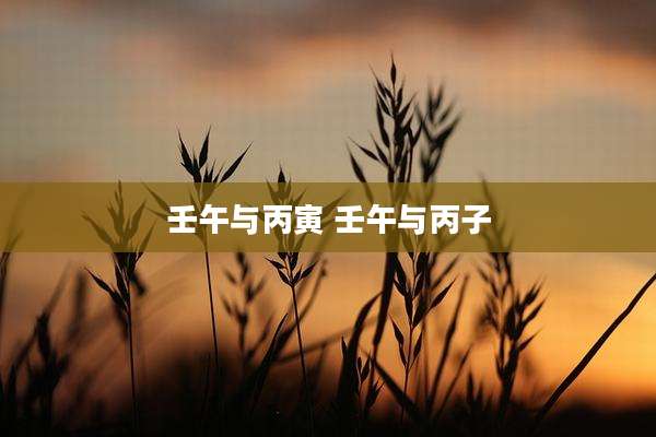 壬午与丙寅 壬午与丙子