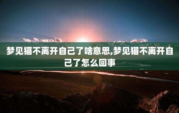 梦见猫不离开自己了啥意思,梦见猫不离开自己了怎么回事