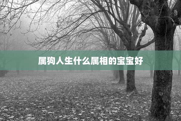 属狗人生什么属相的宝宝好