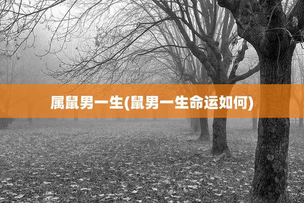 属鼠男一生(鼠男一生命运如何)
