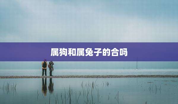 属狗和属兔子的合吗